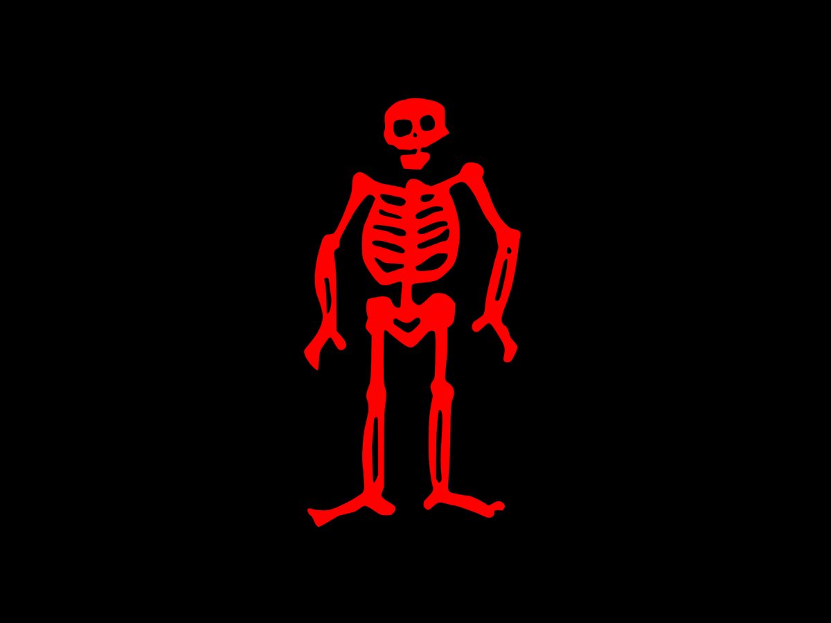 Edward Low's Flag