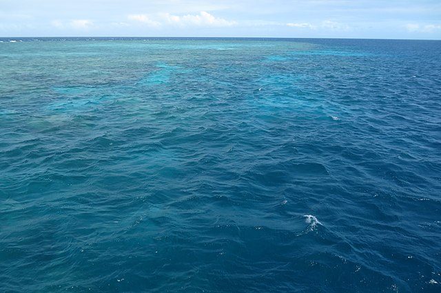 reef