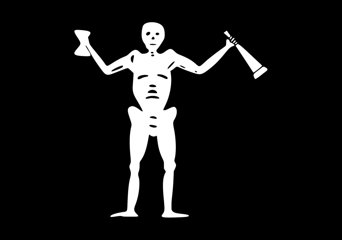 Samuel Bellamy's Flag (variant)