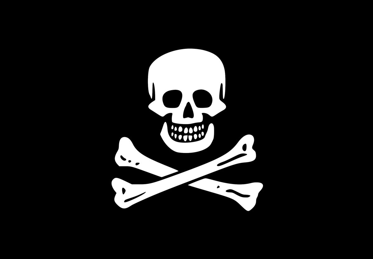 Samuel Bellamy's Flag