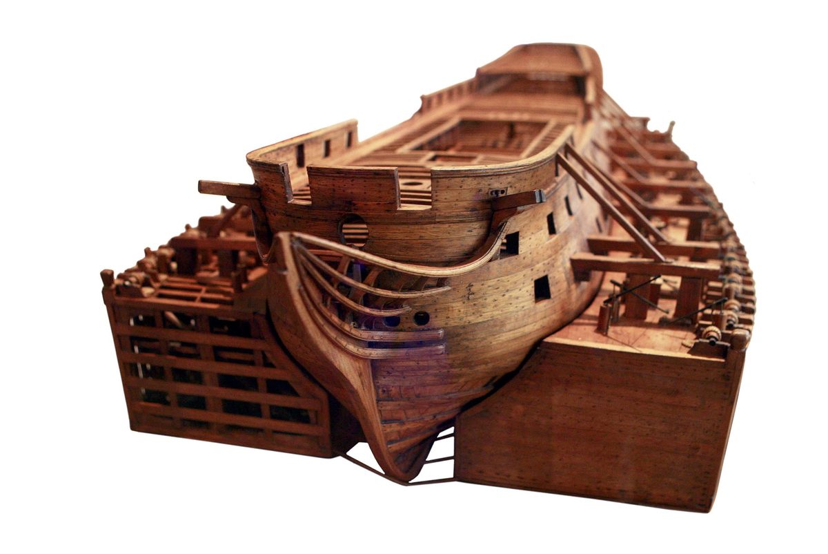 ship camels