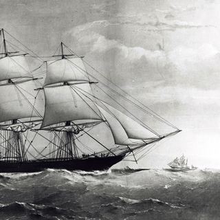 clipper