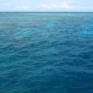reef