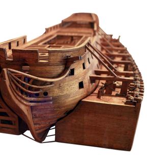 ship camels
