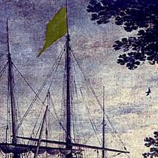 yellow jack